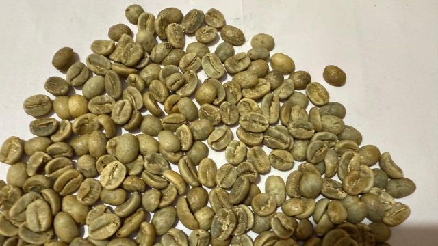 Green Coffee Beans 3