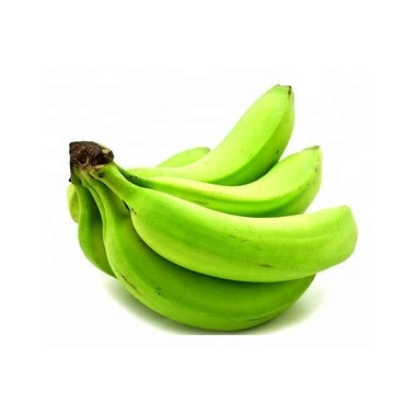 Green Cavendish Banana 2