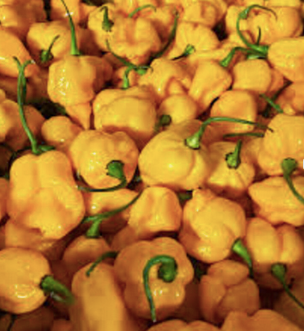 Fresh Habanero