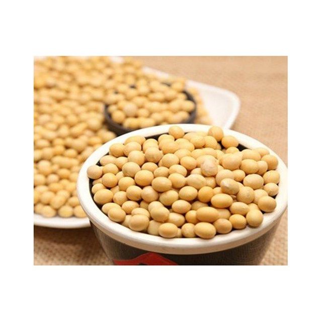 High Quality Non GMO Yellow Soybeans