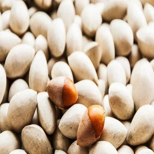 Ginkgo Nuts Image 2