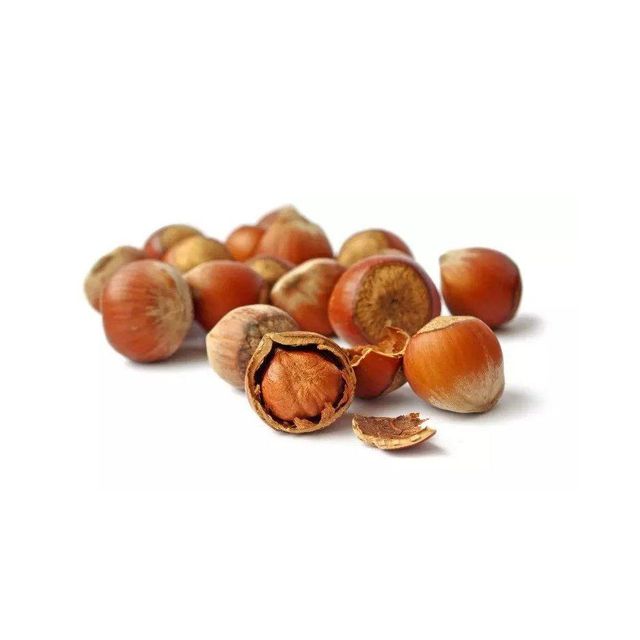 Raw Dried Hazelnuts in Bulk