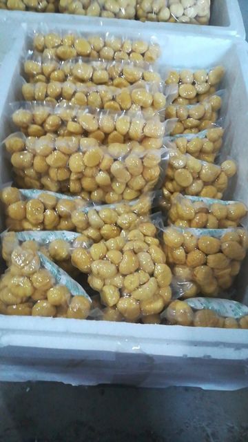 Frozen Chestnut in Packaging