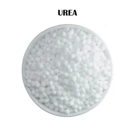 Organic Fertilizer Product Image 3