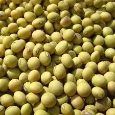 Soya Beans Image 1