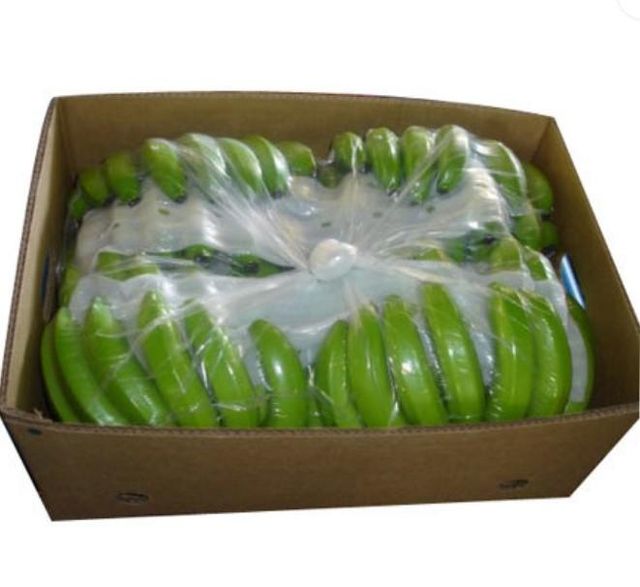 Export Grade Cavendish Banana