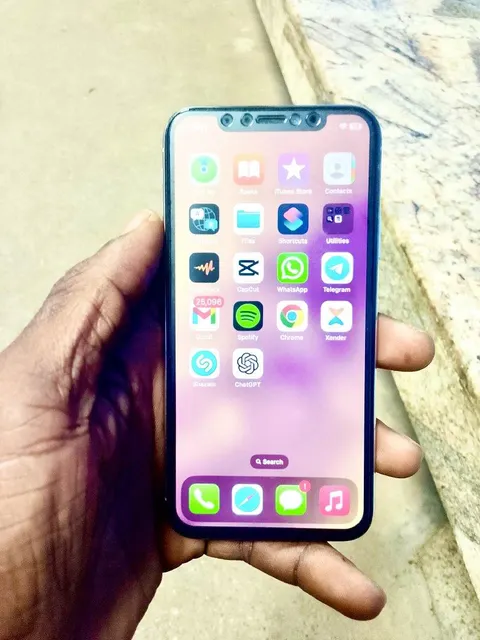 Apple Phone X Back View