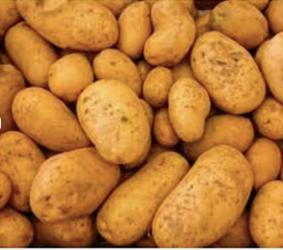 Potato Processing Equipment