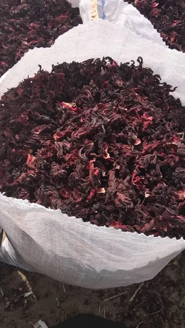 Dried hibiscus displayed in jute sacks