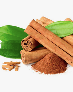 Cinnamon Powder