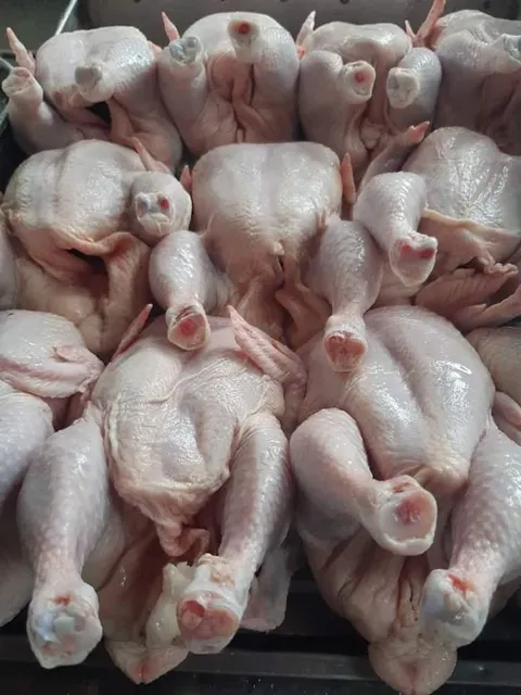 Packaged Halal frozen chicken feet