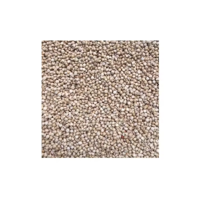 Sorghum Grain Pack