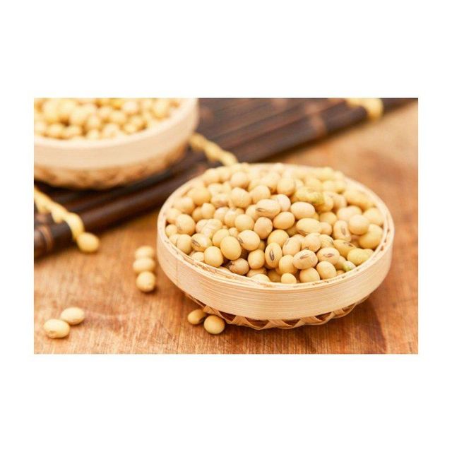 High-Quality Soybeans in Natural Setting