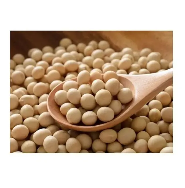 High-Quality Soybeans from Fresh Harvest