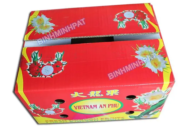 Fresh dragon fruit packed inside corrugated carton box