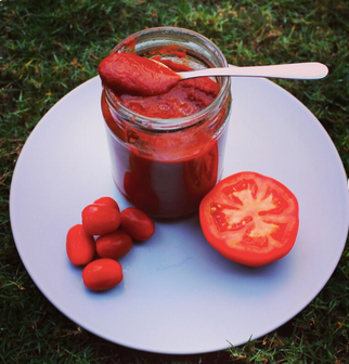 10g Canned Tomato Paste