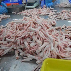 Halal Chicken Feet