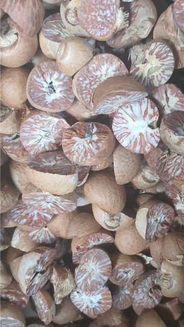 Betelnut Product 4