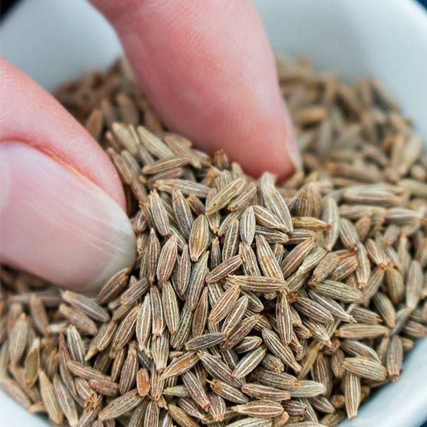 Cumin Seeds with a wooden spoon