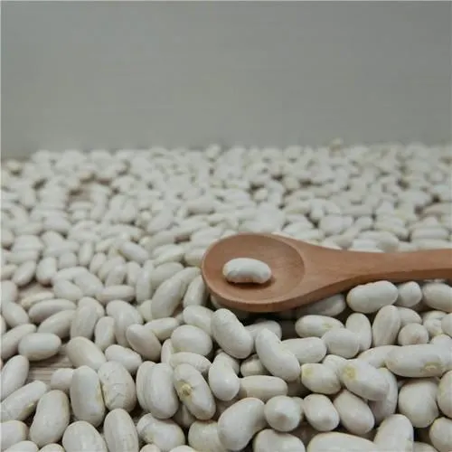 High Quality Beans