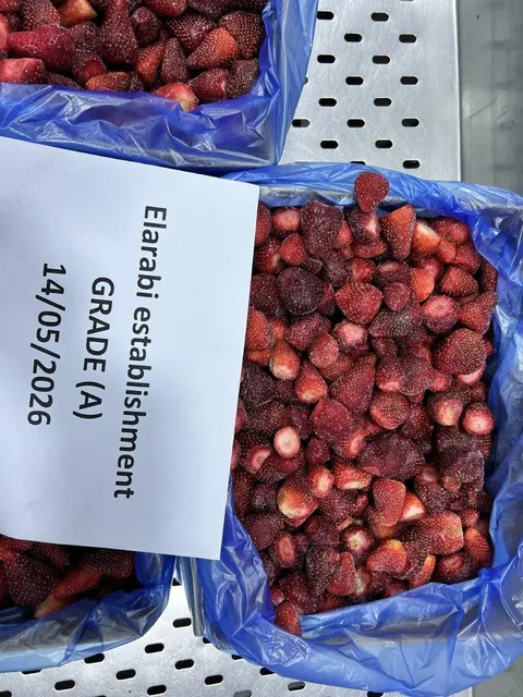IQF Mango Chunks