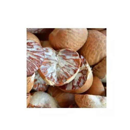 Premium Betel Nut Image 3