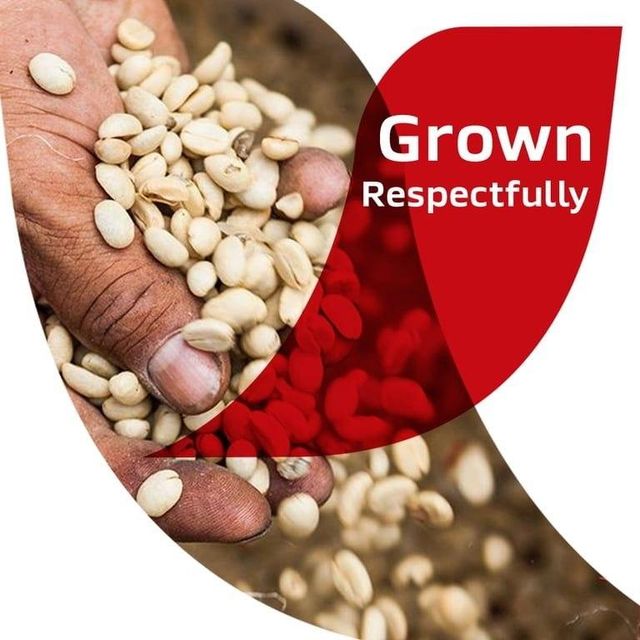 Close-up of Nescafé Clasico Dark Roast Instant Coffee granules