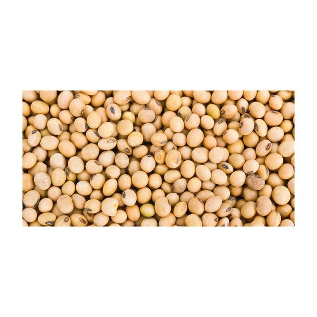 High Protein Soybeans