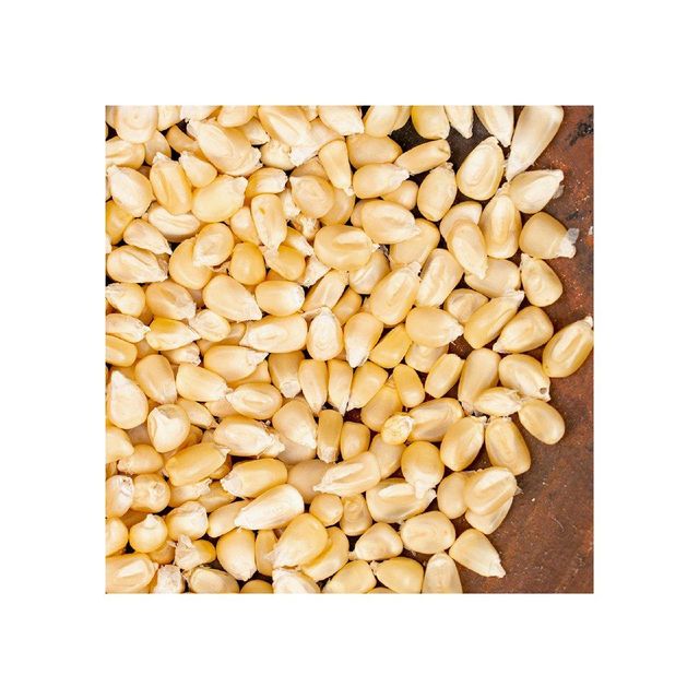 White Corn Bulk Packaging