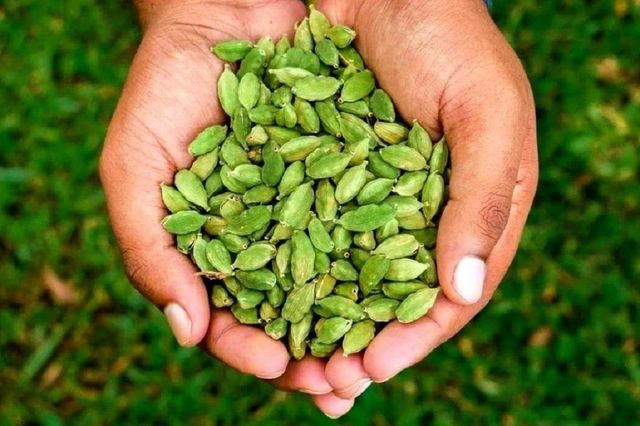 Green Cardamom Image 2