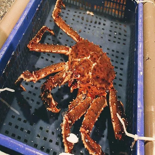 Frozen King Crab