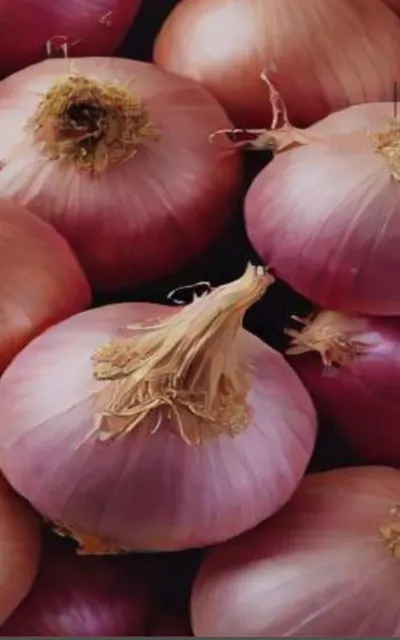 Fresh Onions