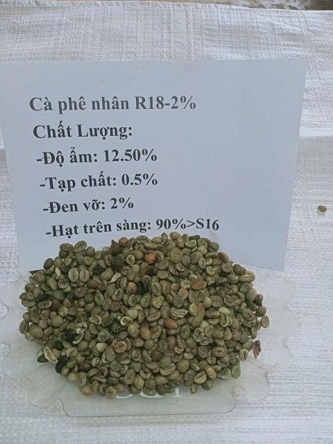 Robusta coffee beans ready for export