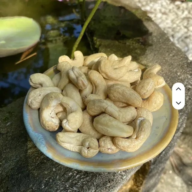 New Crop 100% Natural Raw Whole Cashew Nuts W320 Grade a 5kg