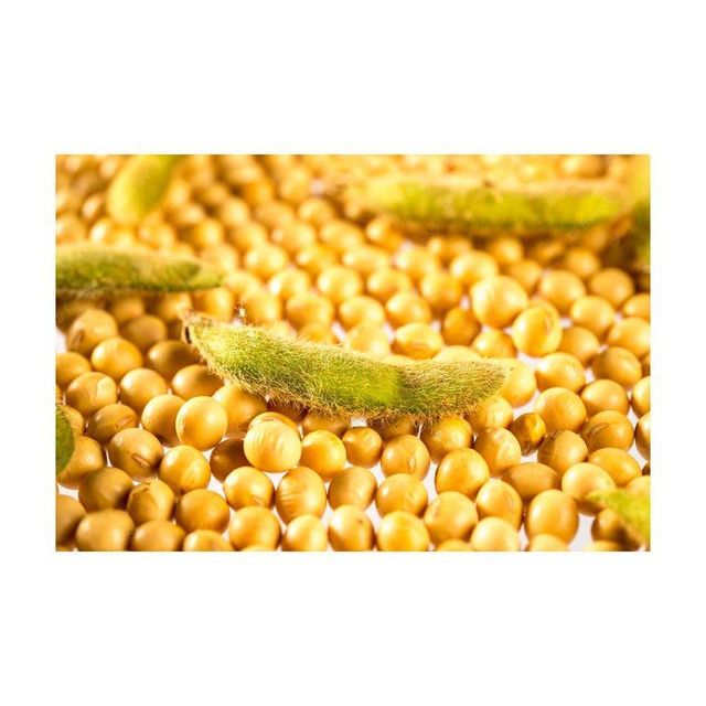 Yellow Soybeans - Fresh and Natural