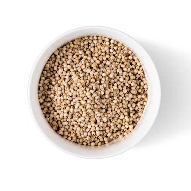 Premium Sorghum Grain Packaging