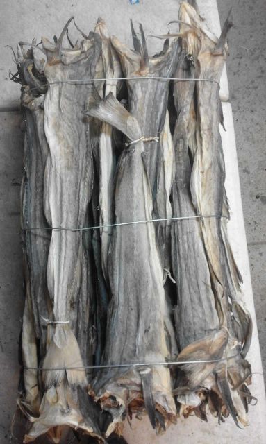 Dried Salted Cod