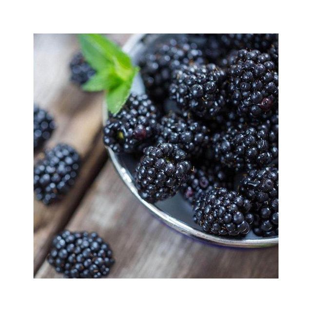 Fresh blackberries in a natural setting
