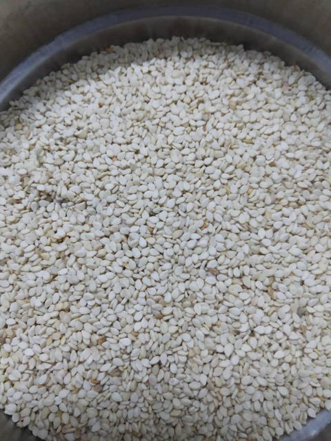 Sesame Seed Product 2
