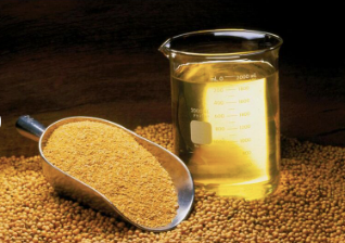 Organic Soybean Meal Feed
