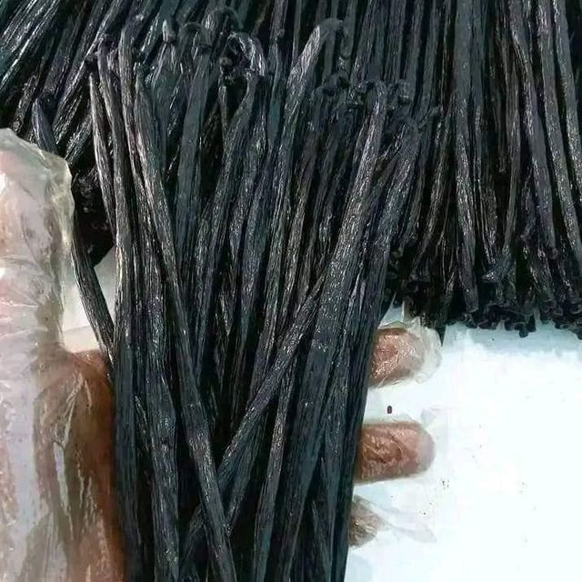 Organic Vanilla Beans