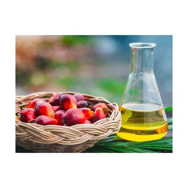 Palm Oil CP8
