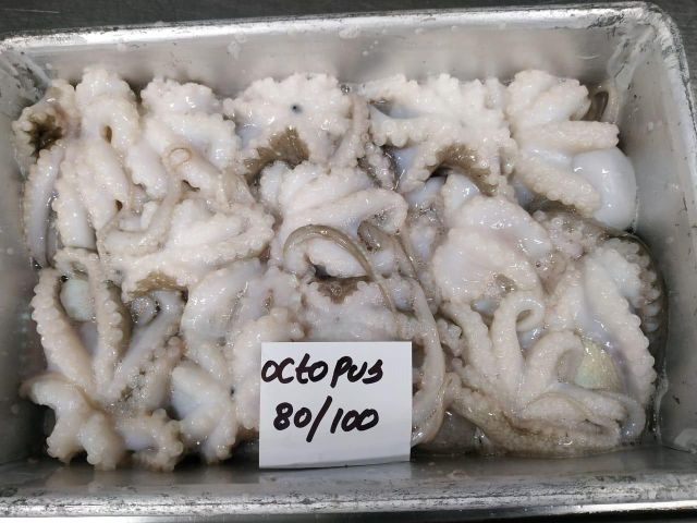 Frozen Baby Octopus - Whole Cleaned