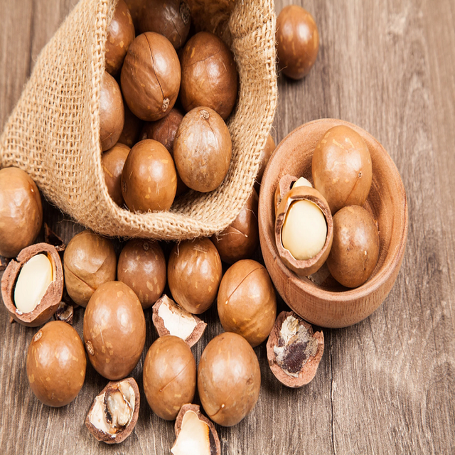 Macadamia Nuts in Container