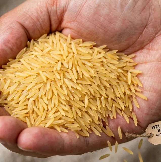 Close up of 1121 Golden Sella Basmati Rice Grain Texture