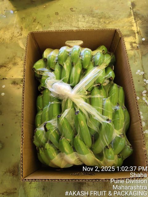 Cavendish Banana Image 2