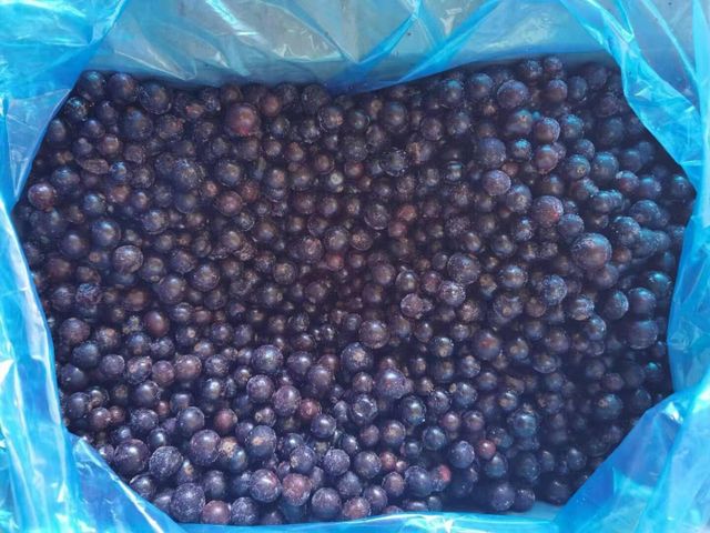 Fruit Product