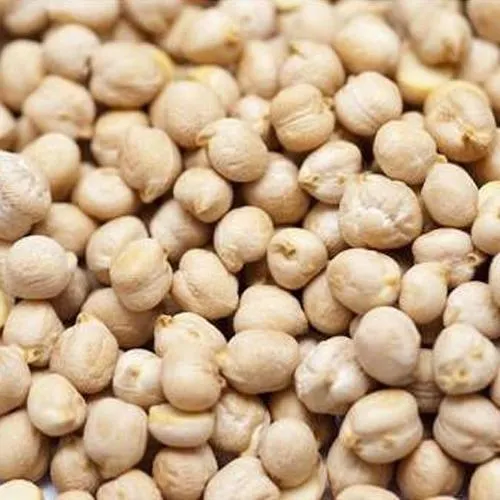 Chickpeas Bulk Supply