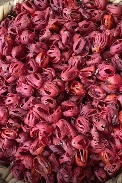 Export Grade Mace Spice