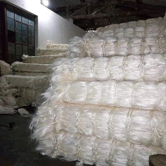 Raw Sisal Fiber Image 4